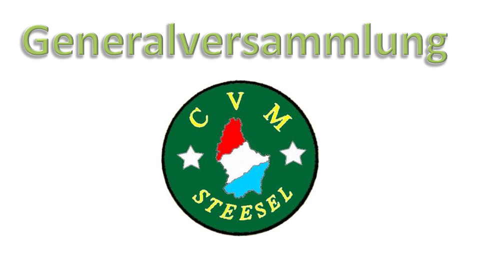 Generalversammlung
